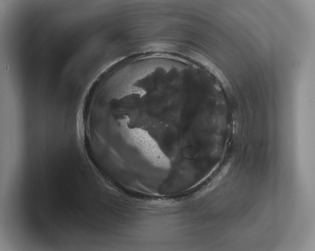 X0000102531117200808151549