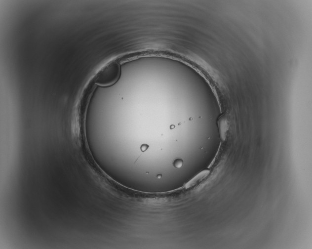 X0000102531118200808151549