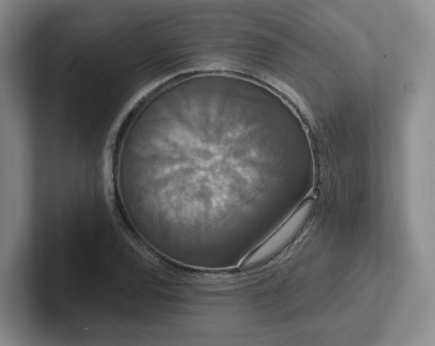 X0000102531120200808151549