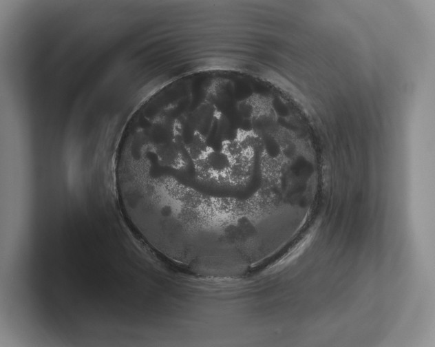 X0000102531121200808151549