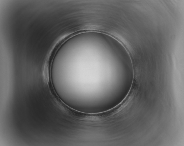 X0000102531123200808151549