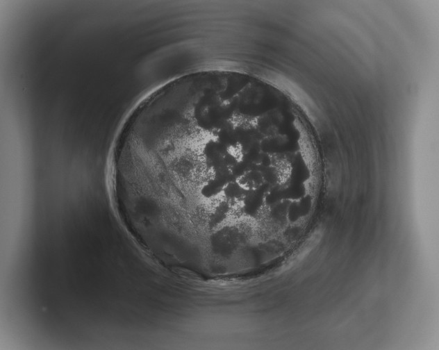 X0000102531125200808151549