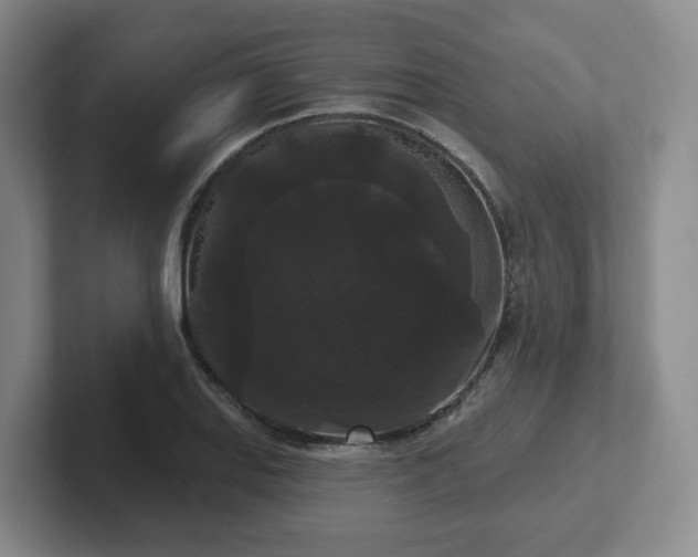 X0000102531127200808151549