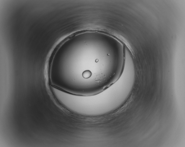 X0000102531128200808151549