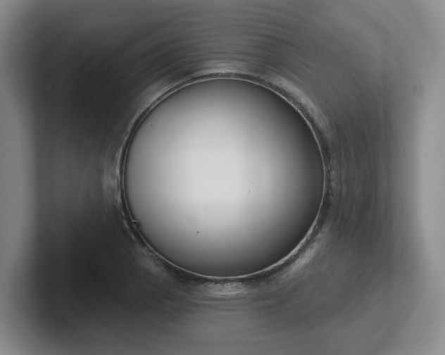 X0000102531129200808151549