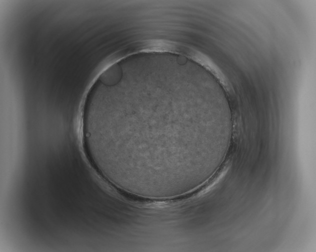 X0000102531130200808151549