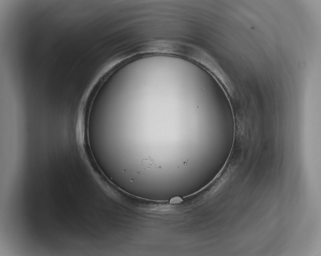 X0000102531131200808151549