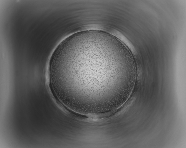 X0000102531132200808151549