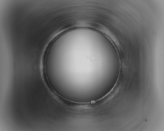 X0000102531133200808151549