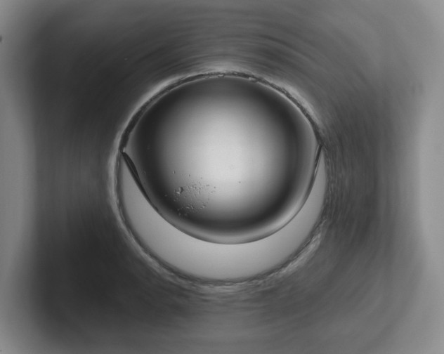 X0000102531134200808151549