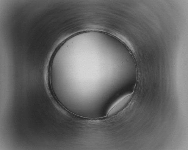 X0000102531136200808151549