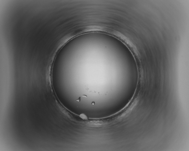 X0000102531137200808151549