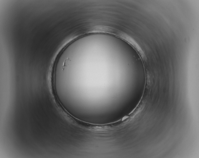 X0000102531138200808151549