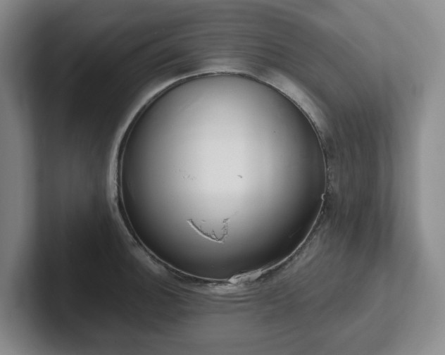 X0000102531140200808151549