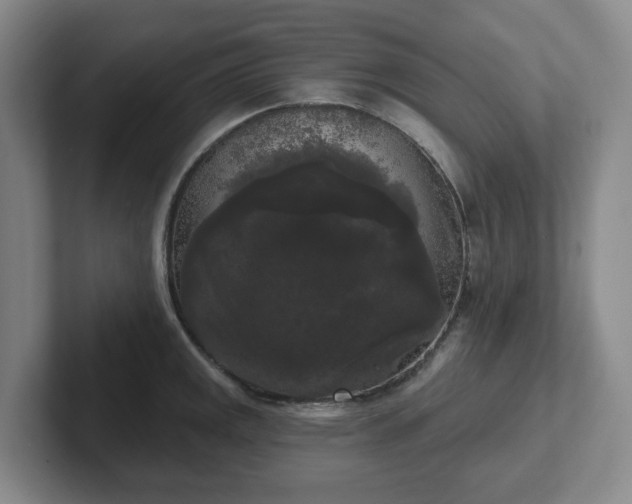 X0000102531141200808151549