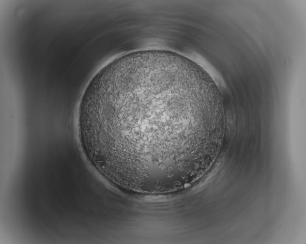 X0000102531142200808151549