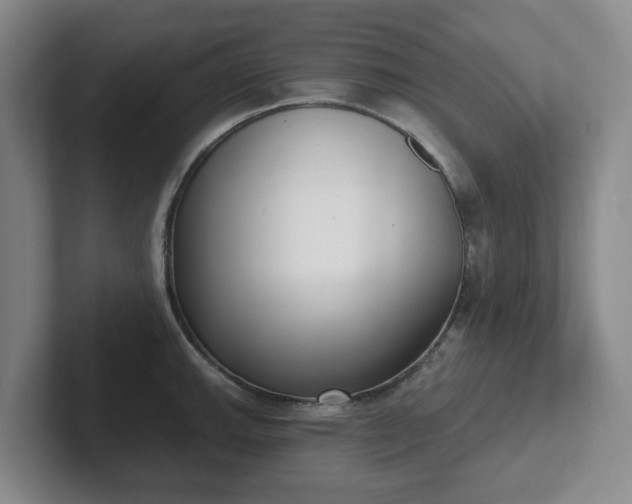 X0000102531143200808151549