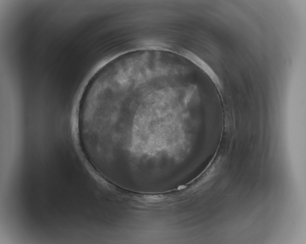 X0000102531144200808151549