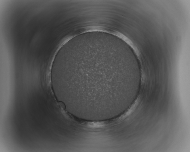 X0000102531145200808151549