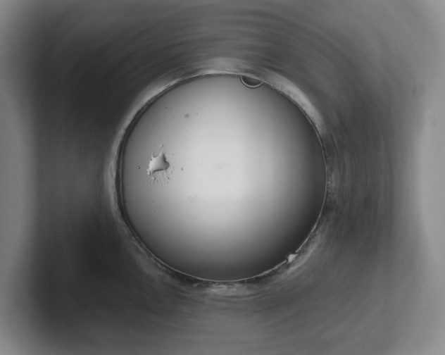 X0000102531146200808151549