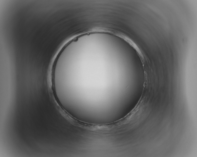 X0000102531148200808151550