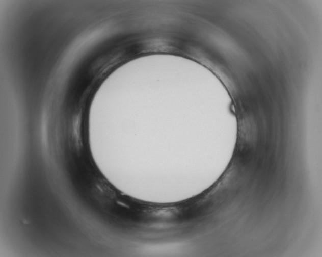 X0000102531150200808151550