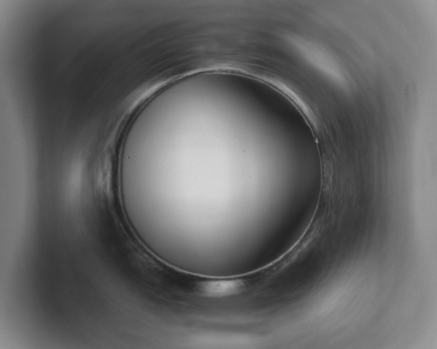 X0000102531151200808151550