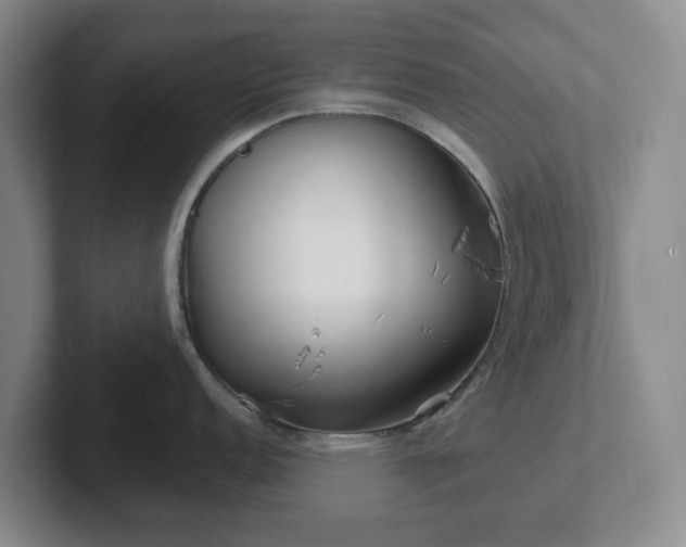 X0000102531152200808151550