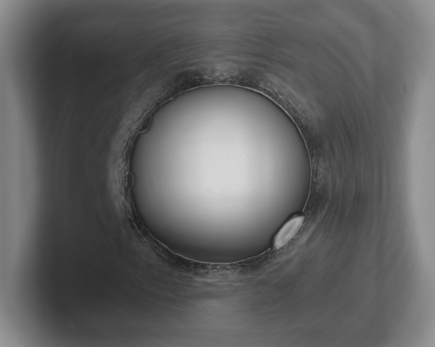 X0000102531153200808151549