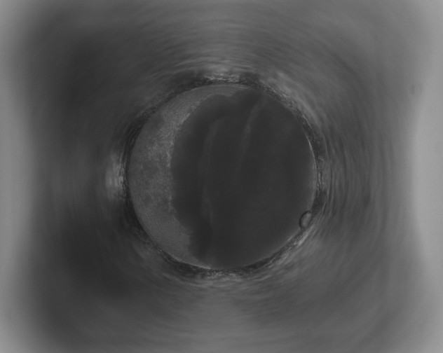 X0000102531154200808151549