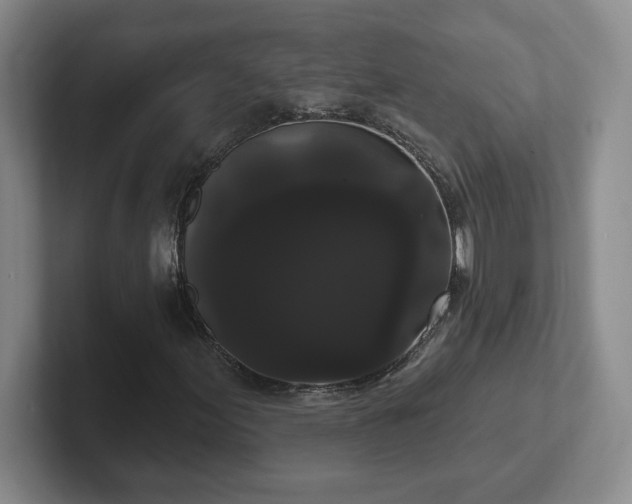 X0000102531155200808151549