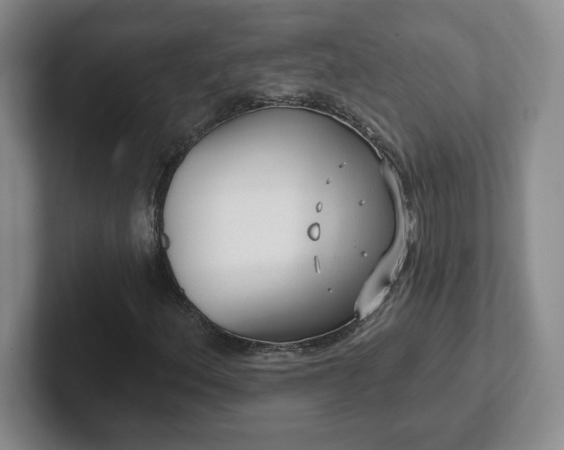 X0000102531156200808151549