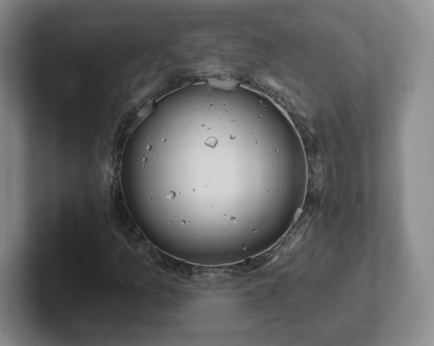 X0000102531157200808151549