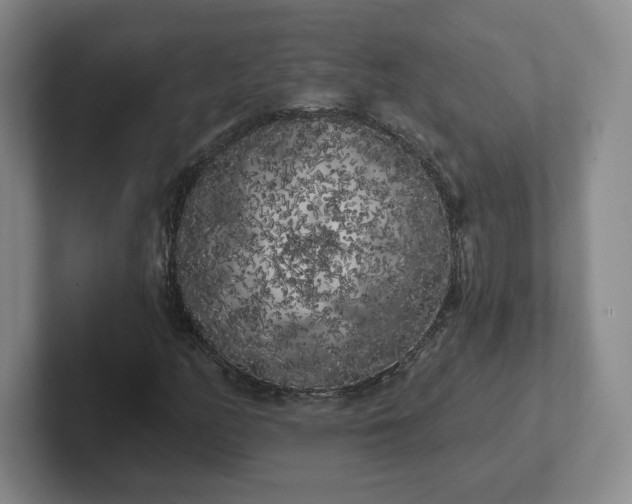 X0000102531158200808151549