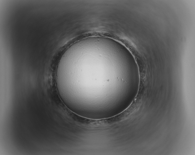 X0000102531159200808151549