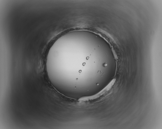 X0000102531160200808151549