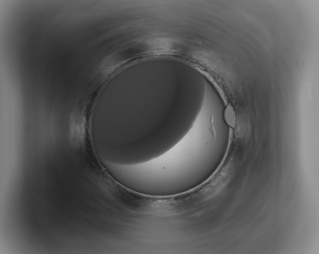 X0000102531161200808151549