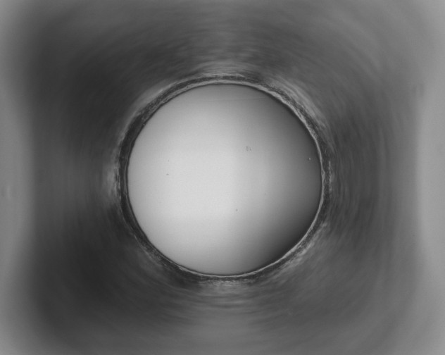 X0000102531164200808151549