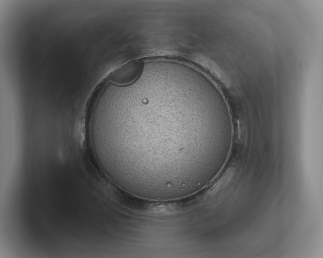 X0000102531165200808151549