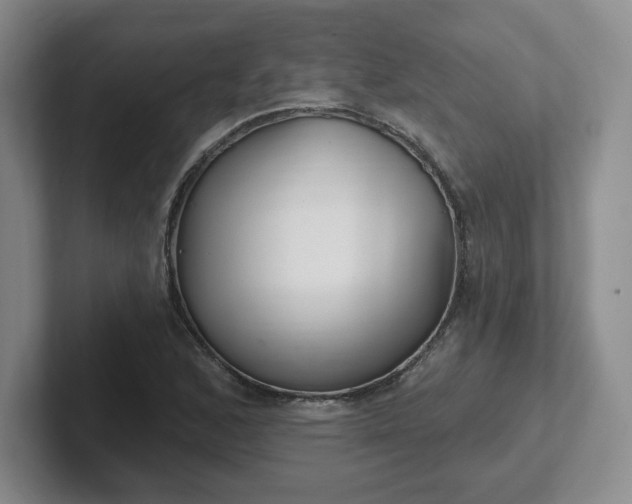 X0000102531168200808151549