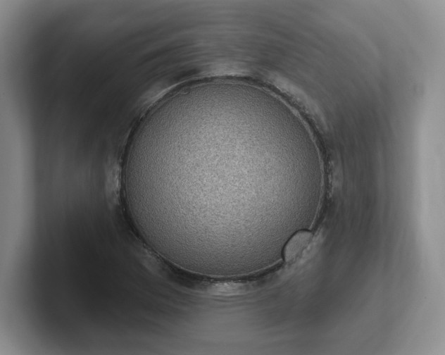 X0000102531169200808151549