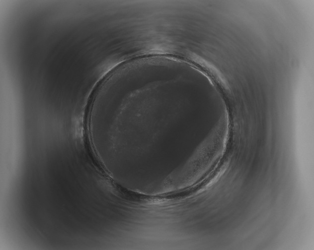 X0000102531170200808151549