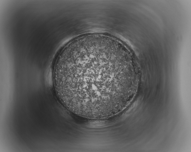 X0000102531171200808151549