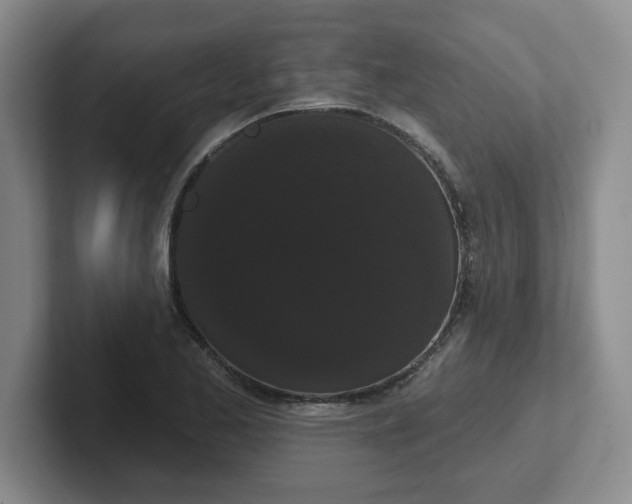 X0000102531173200808151549