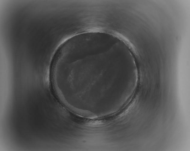 X0000102531174200808151549