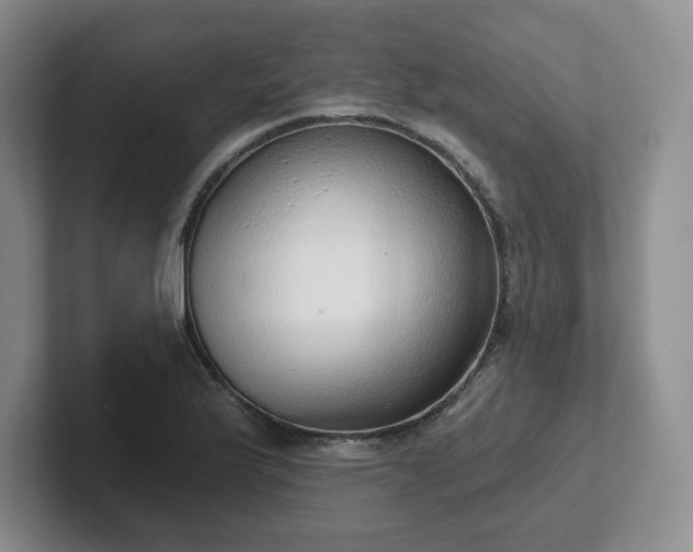 X0000102531175200808151549