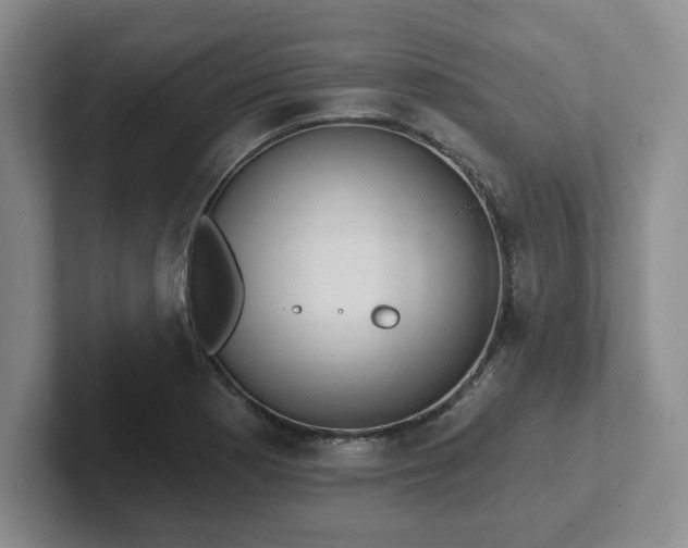 X0000102531177200808151549