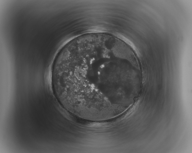 X0000102531179200808151548