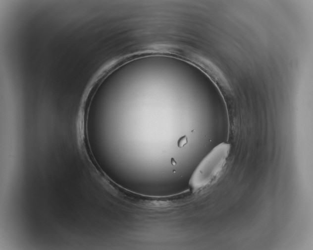 X0000102531180200808151548