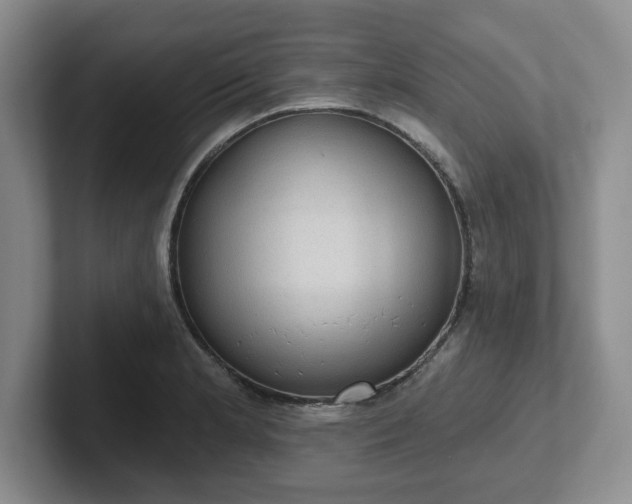 X0000102531181200808151548